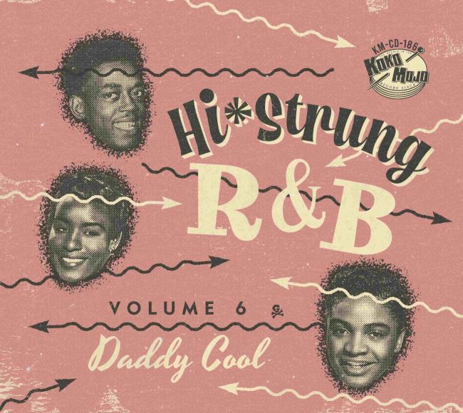 V.A. - Hi Strung R&B Vol 6 Daddy Cool